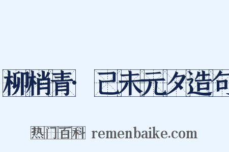 柳梢青·己未元夕造句是什么意思的图片
